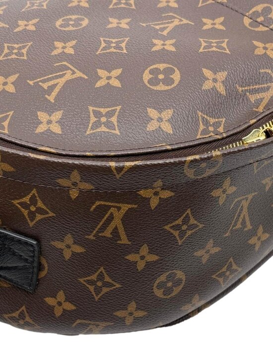 Louis Vuitton  Palm Springs MM Monogram Canvas Backpack Brown main image 12